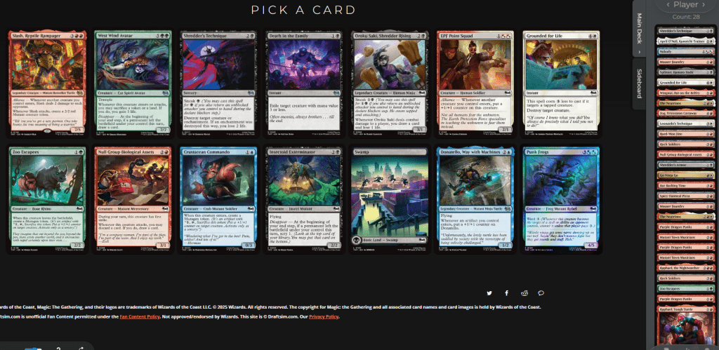 Teenage Mutant Ninja Turtles Pick-Two Draft