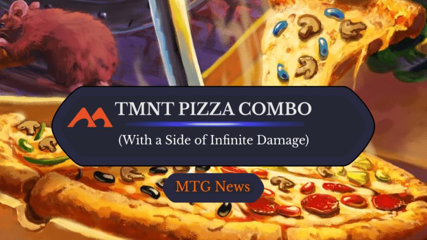Meme-Worthy TMNT Common Makes Infinite Pizza Combos a Reality