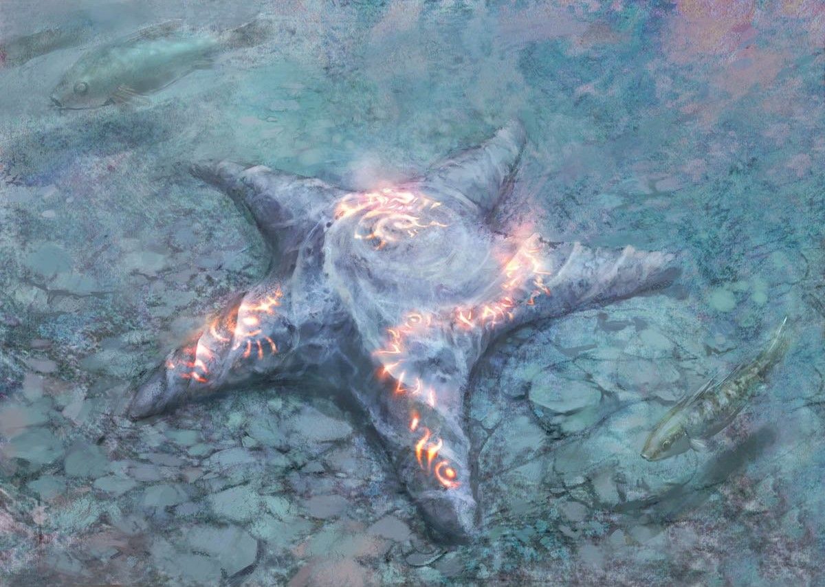 Sigiled Starfish - Illustration by Nils Hamm