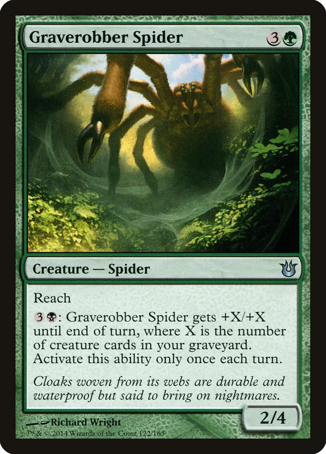 Graverobber Spider