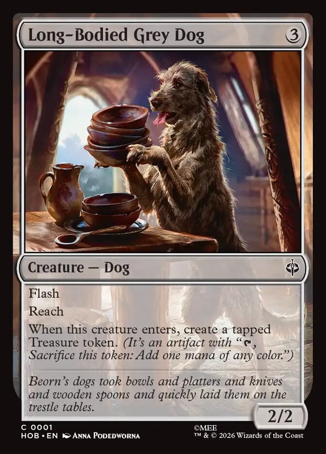 Long-Bodied Grey Dog